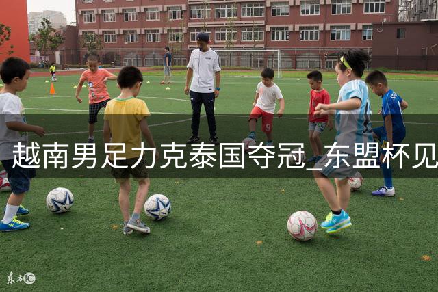 越南男足力克泰国夺冠 东盟杯见证东南亚足球新格局